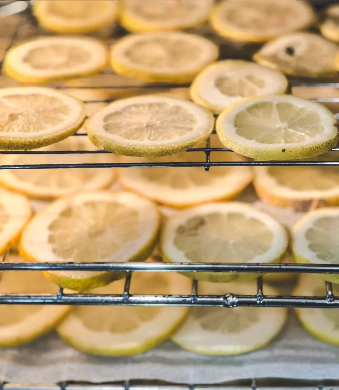 Homemade dried lemon and citrus slices NZ teacher gift Christmas Flour and Dough