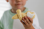 Easter Bunny Cookie and Craft Kit